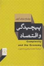 پیچیدگی و اقتصاد رقعی شمیز نی