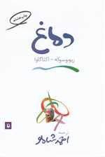 دماغ (شمیز،رقعی،مروارید)